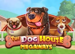 CUANWIN77: The Dog House Megaways